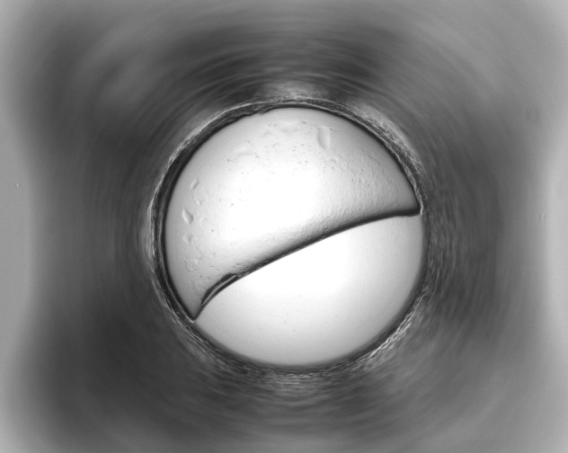 X0000096461031200801241114
