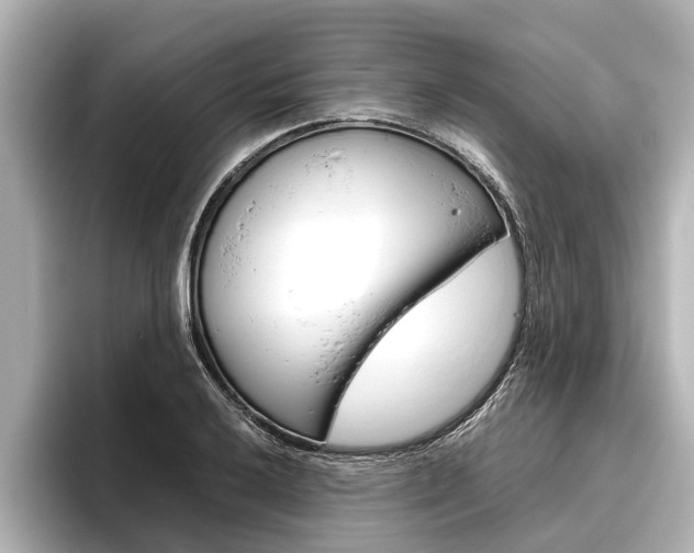 X0000096461032200801241114