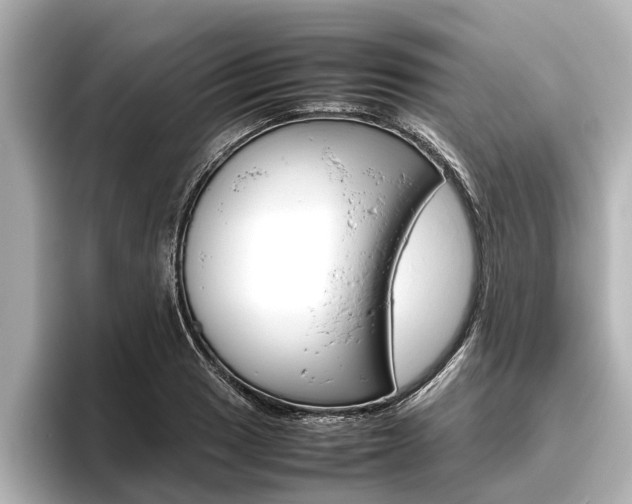 X0000096461033200801241114