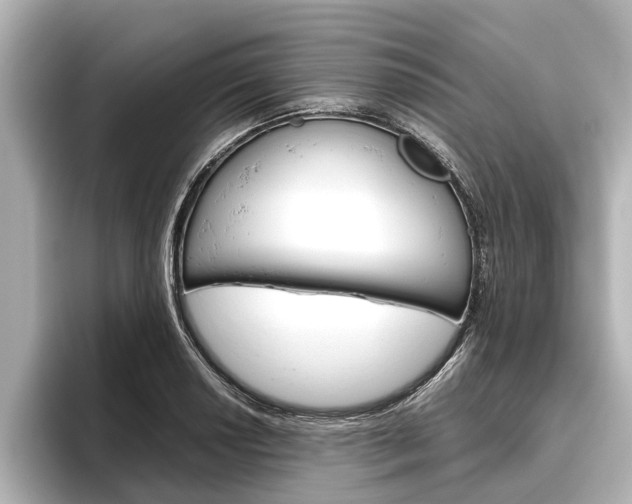 X0000096461034200801241114
