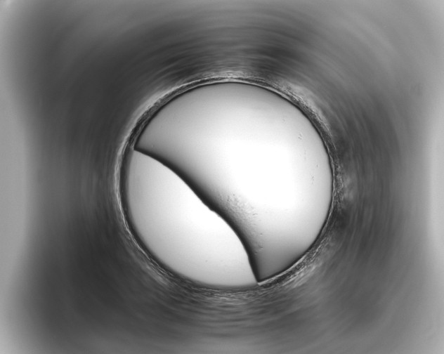 X0000096461035200801241114