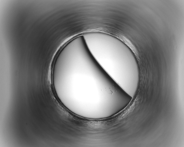 X0000096461036200801241114
