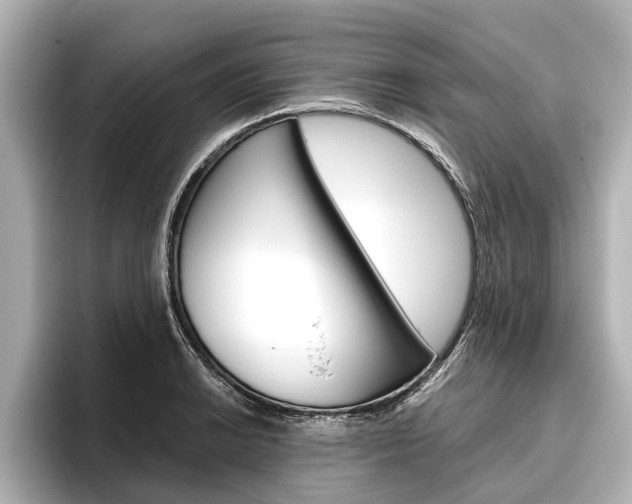 X0000096461038200801241114