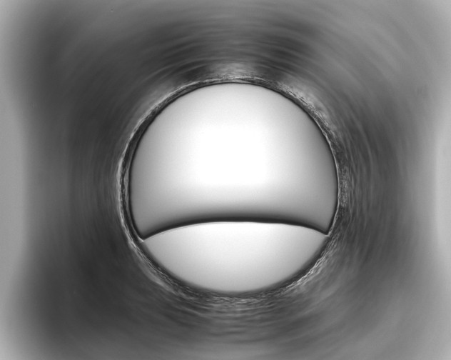 X0000096461039200801241114