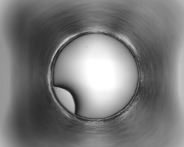 X0000096461040200801241114