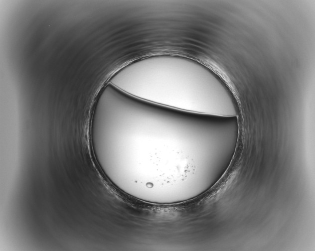 X0000096461041200801241114
