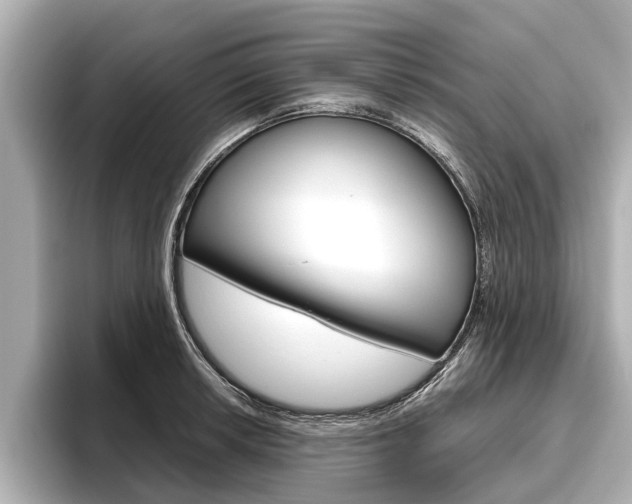 X0000096461042200801241114