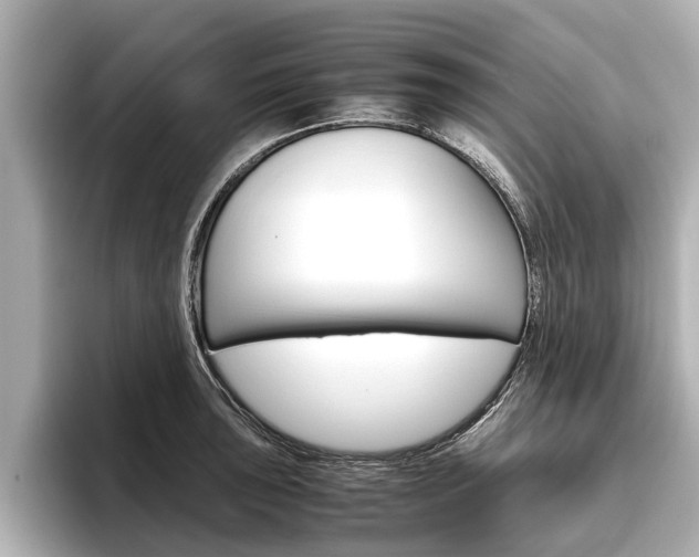 X0000096461043200801241114