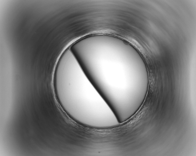 X0000096461044200801241114