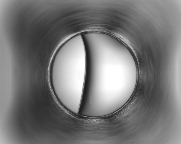 X0000096461045200801241114