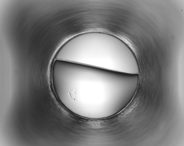 X0000096461046200801241114