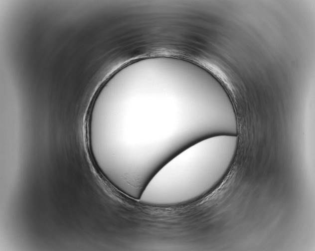 X0000096461047200801241114
