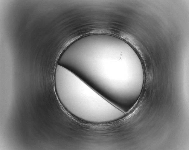 X0000096461049200801241114