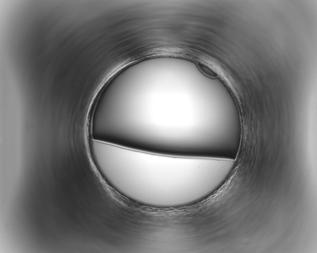 X0000096461050200801241114