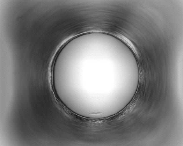 X0000096461051200801241114