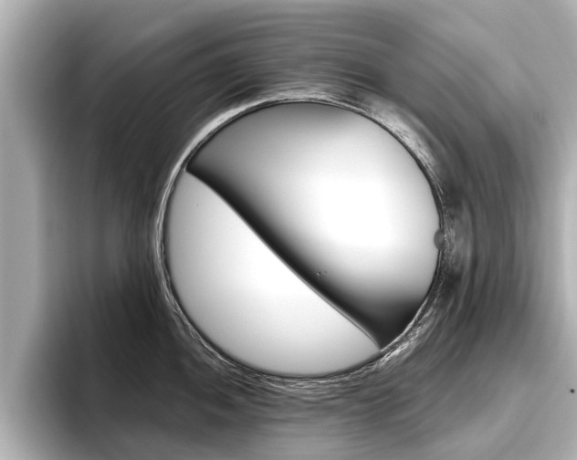 X0000096461052200801241114
