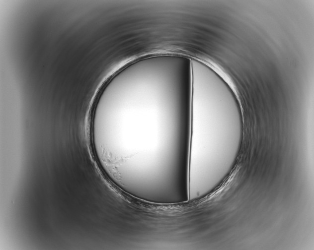 X0000096461053200801241114