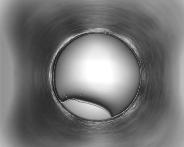 X0000096461054200801241114