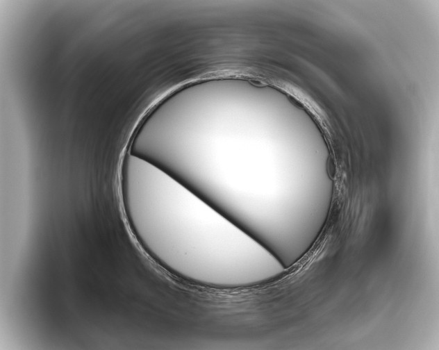 X0000096461055200801241114