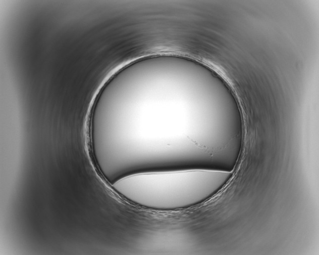 X0000096461056200801241114