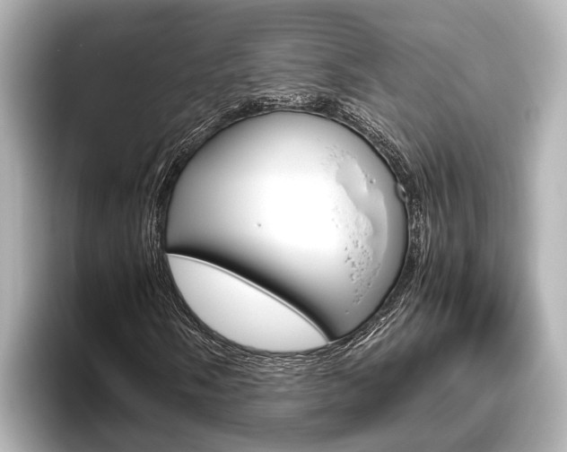 X0000096461058200801241113