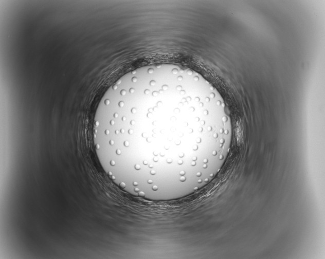 X0000096461059200801241113