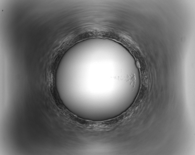 X0000096461061200801241113