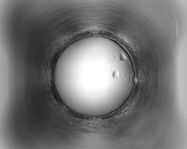 X0000096461062200801241113