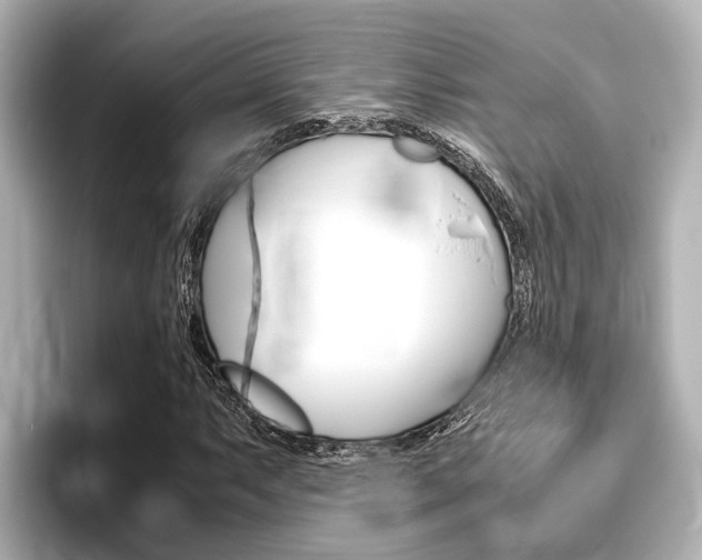 X0000096461063200801241113
