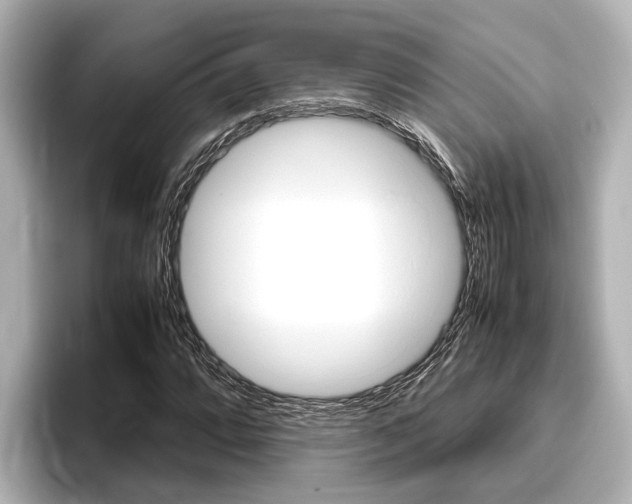 X0000096461064200801241113