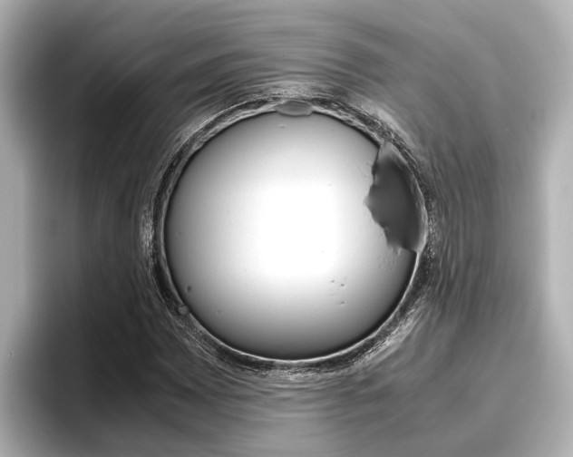 X0000096461065200801241113