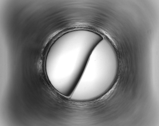 X0000096461066200801241113