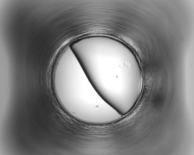 X0000096461067200801241113