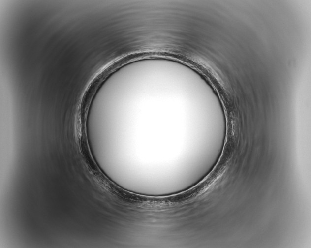 X0000096461069200801241113