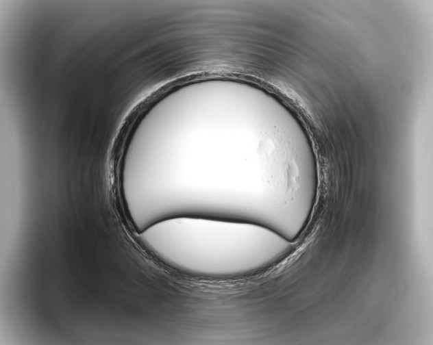 X0000096461070200801241113
