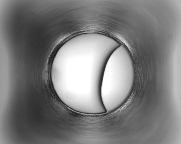 X0000096461071200801241113