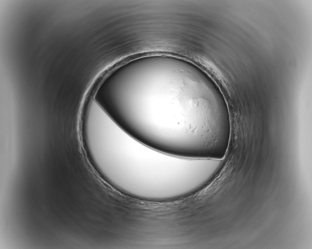 X0000096461072200801241113