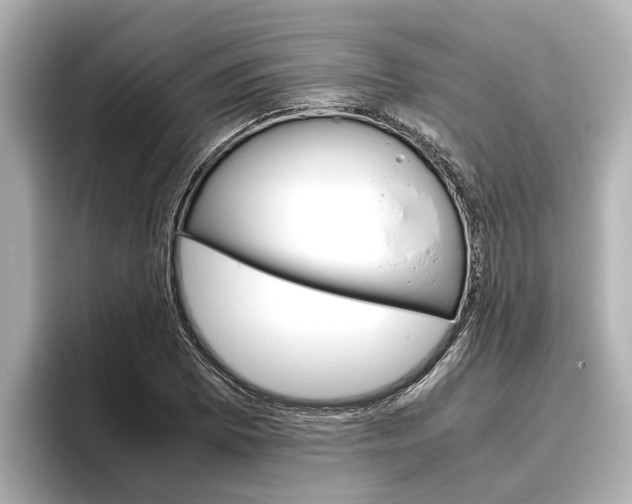 X0000096461073200801241113