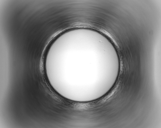 X0000096461074200801241113