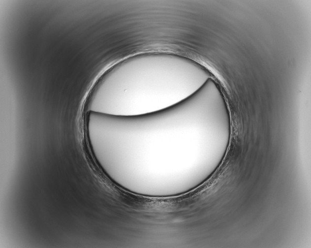 X0000096461075200801241113