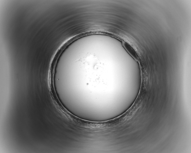 X0000096461076200801241113
