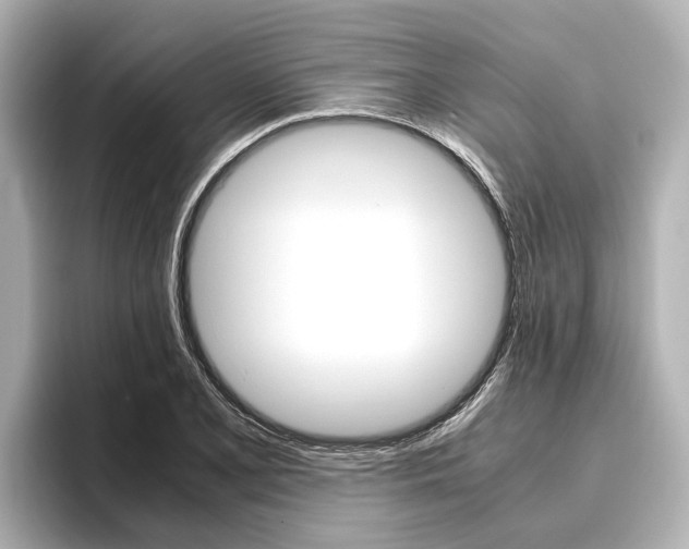 X0000096461077200801241113