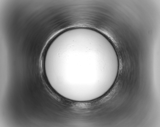 X0000096461078200801241113