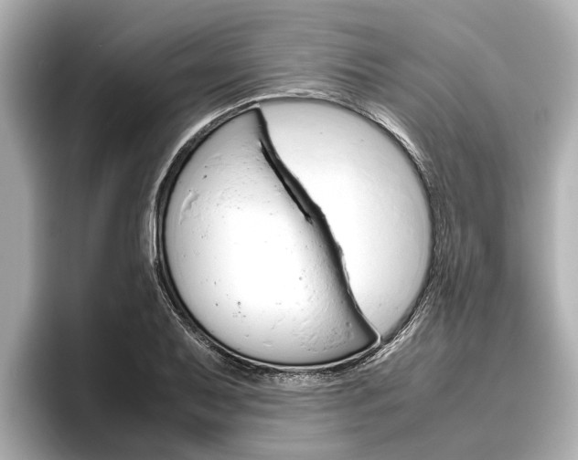 X0000096461079200801241113