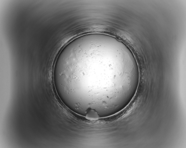 X0000096461081200801241113