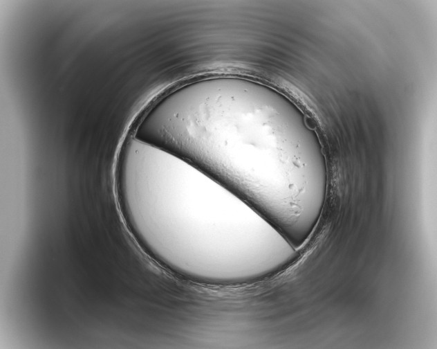X0000096461082200801241113