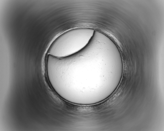 X0000096461083200801241113