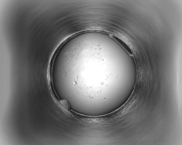 X0000096461084200801241113