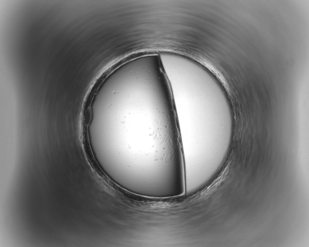 X0000096461085200801241113