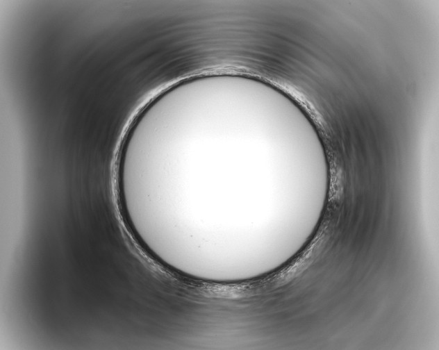 X0000096461086200801241113